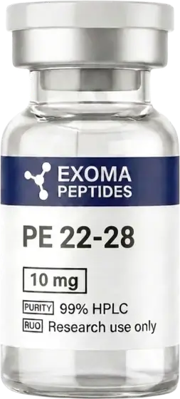 PE 22-28